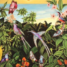 Mark Barrott. Sketches From An Island