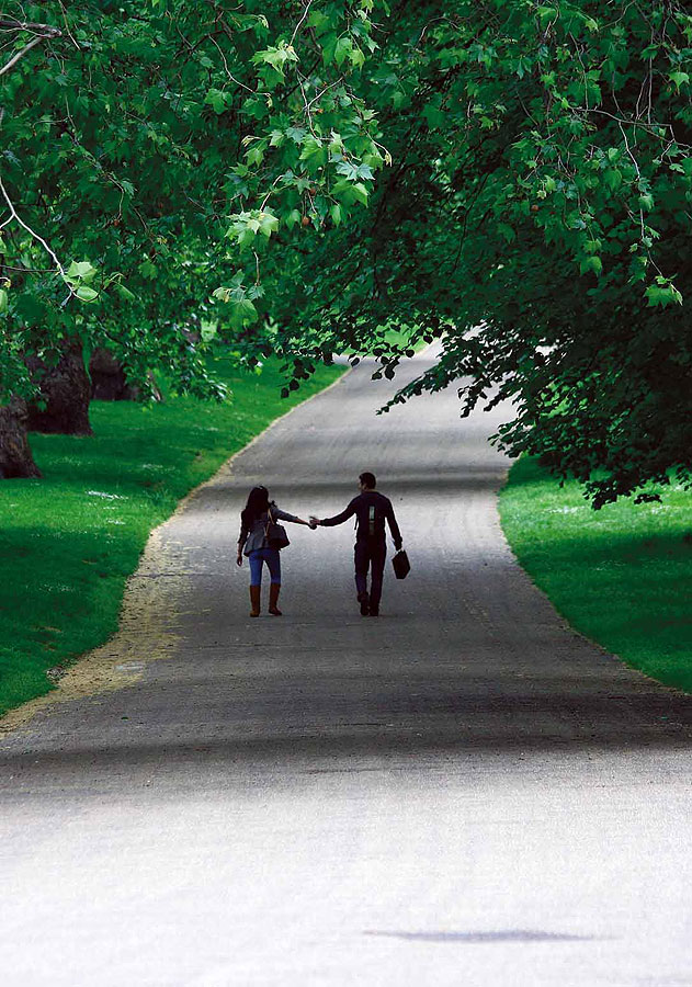 bellissimo-03-12_Couple_in_Green_Park_2