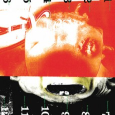 The Pixies